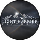 Light Harrier Pictures